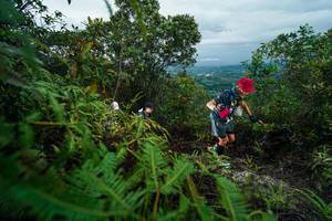 BIB: 
                            <button type="button" onclick="openModal(26196501)" class="btn btn-primary btn-sm float-right btn-popup" data-toggle="modal" data-target=".modal-high-quality">
                        <i class="fas fa-shopping-cart"></i> Add to Cart
                    </button>
                                            <button type="button" onclick="isThisMe(26196501, true)" class="btn btn-success btn-sm float-right btn-popup btn-isme hidden" data-toggle="tooltip" data-placement="bottom" title="นี่คือรูปของคุณใช่ไหม คลิกที่นี่เพื่อเอาเข้าอัลบั้ม">
                        <i class="fas fa-plus"></i> Add to album
                    </button>
                    <button type="button" onclick="isThisMe(26196501, false)" class="btn btn-warning btn-sm float-right btn-popup btn-isnotme hidden">
                        <i class="fas fa-ban"></i> Remove from album
                    </button>